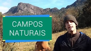 CAMPOS DE ALTITUDE X CAMPOS RUPESTRES [upl. by Cuyler]