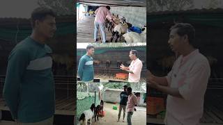 FullVideoLink 👆Giri 7732091175 SheepsGoats Shed [upl. by Kirat488]