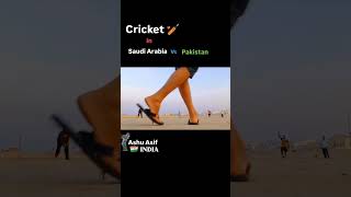 Cricket 🏏 in Saudi Arabia vs Pakistan A17  pakistancricket pakistancricketteam cricket india [upl. by Alano]