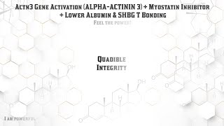 ★ACTN3 Gene Activation AlphaActinin 3  Myostatin Inhibitor  Lower Albumin and SHBG T Bonding★ [upl. by Anayeek]