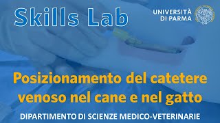 Posizionamento del catetere venoso nel cane e nel gatto  Skills Lab UNIPR [upl. by Seira]