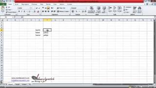 Excel Cells  Hindi  Urdu [upl. by Annaeel382]