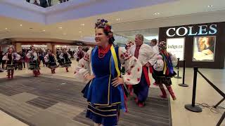 Zorianka Ukrainian Dancers [upl. by Goldi]