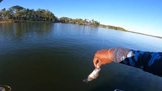 Fall Evening Crappie Fishing Lake Oconee [upl. by Bowlds]