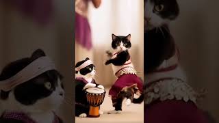 New Arabic dance cats kitten cute catsdance aicat [upl. by Akeirahs]