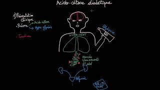 Acidocétose diabétique  Clinique  Diagnostique  Prise en Charge  Partie 2  Docteur Synapse [upl. by Alene820]