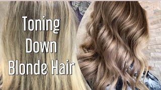 Toning Down Blonde Hair  MUSHROOM BROWN Tone [upl. by Xavler]