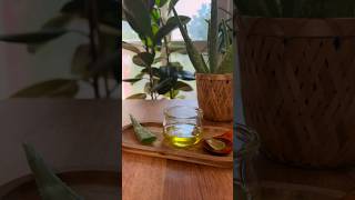 Homemade Aloe Vera Oil 🌿 for Long amp Strong Hair growth 2 natural ingredients hairgrowth AloeVera [upl. by Clementia870]