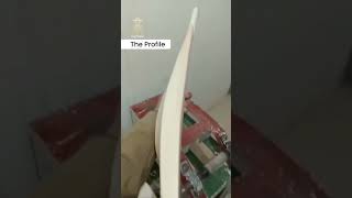 Duckbill Profile Cricket Bat craftsmancricket cmi viratkohli cricketlover [upl. by Nosreffej782]