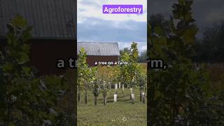 Agroforestry  Farm Modernization  Sustainable Agriculture viralvideo facts [upl. by Hairas]