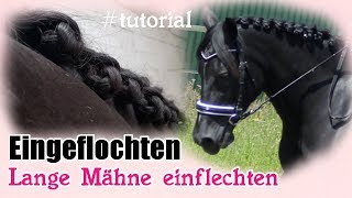 Eingeflochten  Spanische Einflechttechnik Turnierzöpfe für lange Mähne Tutorial [upl. by Olocin]