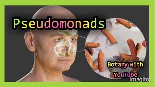 Pseudomonas botanywithyoutube botany english [upl. by Wagstaff]