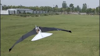 Ornithopter with morphingcoupled wingbeat pattern [upl. by Hbaruas]