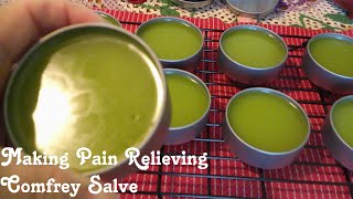 Making Comfrey Salve for Pain Relief 🌱 Easy and Beneficial [upl. by Talbert670]