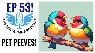 Pet Peeves and Bird Updates The Bird Brains Podcast EP 53 [upl. by Anayet778]