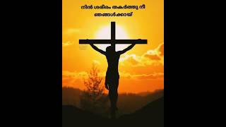 Krooshil kandu njan nin snehathe malayalamchristiansongswithlyrics malayalamchristianstatus [upl. by Amaty]