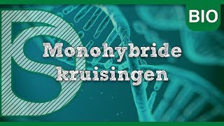 Examen biologie  Monohybride kruisingen Erfelijkheid [upl. by Aveer]