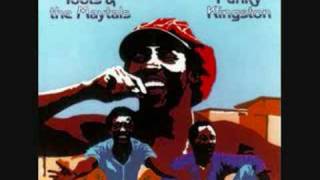 Toots amp The Maytals  Time Tough [upl. by Cristian]