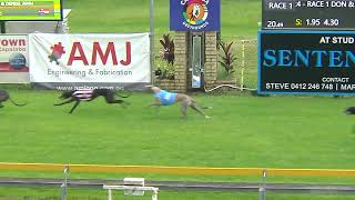 Capalaba10012024Race1 [upl. by Krasner402]