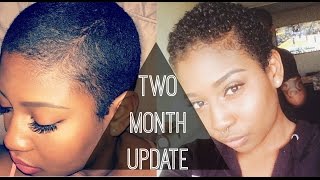 Ya Girl Got Curlz  Two Month Update [upl. by Lainad205]