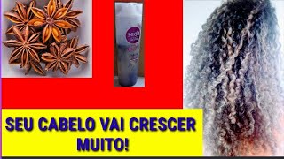 SHAMPOO com anís estrelado para crescimento Capilar receita caseirahellienesantana [upl. by Nawoj]