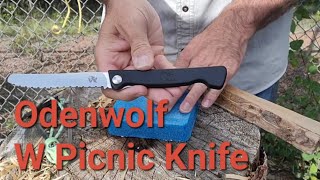 Odenwolf W Picnic Folding Serrated Knife Food prep knife [upl. by Alis]