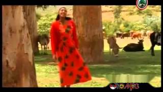 Oromo Music  Hawwi Tezera  Walee yaa walee [upl. by Leduar309]