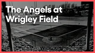 The TripleA Angels Played at Los Angeles Wrigley Field  Things That Arent Here Anymore  KCET [upl. by Paapanen836]