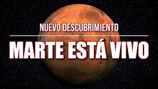 MARTE ESTÁ VIVO  NOTICIAS  Perseverance  Curiosity  Ingenuity amp James Webb [upl. by Assirrac533]