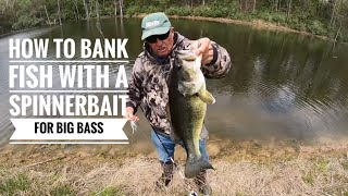 How to Bank fish with a Spinnerbait for big Bass [upl. by Ott]