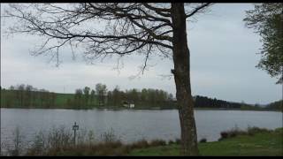 Landal vakantiepark Hochwald [upl. by Eleen]