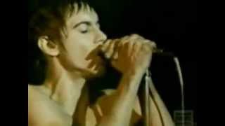 Iggy Pop  The Passenger live 77 [upl. by Evslin]