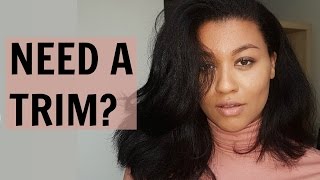 4 SIGNS When You Should Trim Your Natural Hair [upl. by Immot]