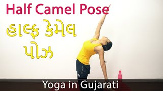 Half Camel Pose in Gujarati  Ardha Ustrasana  Yoga For Weight Loss  Yoga in Gujarati [upl. by Pathe]