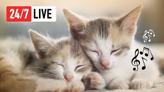 247 Music for Cats 🔴 Relaxing Cat Music for AntiAnxiety Mood amp Sleep [upl. by Niveg450]