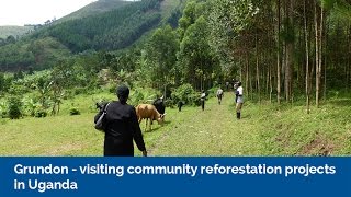 Grundon  Visiting community reforestation projects in Uganda [upl. by Cochard65]