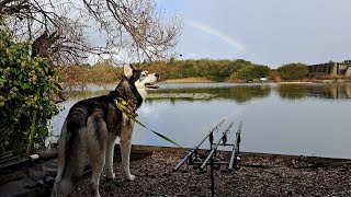 Rocko Huskys First Trip to the Big Pit Quest for a 40lb Carp part nine 37 [upl. by Halden]