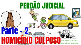 PERDÃƒO JUDICIAL  HOMICÃDIO CULPOSO  PARTE 2  Direito Penal para OAB [upl. by Shaper]