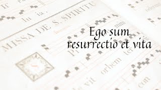 🎵 EGO SUM RESURRECTIO ET VITA [upl. by Sayers329]