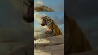 Did You This About the Tiger in Life of Pi Movie  cinematic17 explainedinhind movie [upl. by Egni]