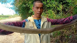 ANG DAMBUHALANG COBRA NI JTG Kamandag sa CONCEPCION TARLAC [upl. by Ydnec]