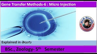 Gene Transfer Methods6  micro injection BSc Zoology  HSR Bioinfo [upl. by Furnary]