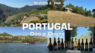 VIAJE CONOSCO pelas REGIÕES do DÃO e do DOURO em PORTUGAL [upl. by Ahtamas]