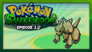 Pokemon Snakewood Episode 12 w Voltsy Gameplay Walkthrough [upl. by Barram]