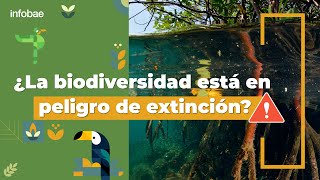 ¿La biodiversidad está en peligro de extinción [upl. by Kuhn]