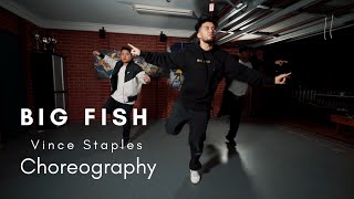 Vince Staples  Big Fish Choreography [upl. by Dredi]