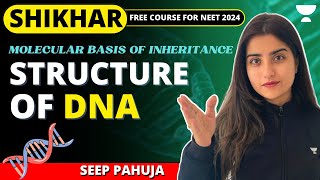 Structure of DNA  Molecular Basis of Inheritance  NEET 2024  Seep Pahuja [upl. by Lyrak]