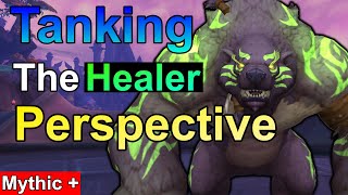 Tanking in Mythic Plus The Healers Perspective and advice [upl. by Ahseirej]