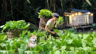 900 days in forest Plant papaya vegetables tomatoes harvest for sale build nests for chickens [upl. by Joe]