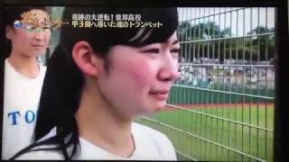 東邦高校野球部応援ドキュメント【高校野球ブラバン】 [upl. by Nosyla]